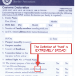 Can You Eat It Then Declare It A Customs Declaration Guide For Food