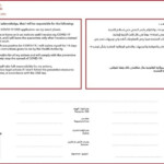 Updated Flying Emirates To Dubai And Transit Dubai Requirements