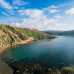 Public Health Travel Declaration Form Malta Changes In Travel